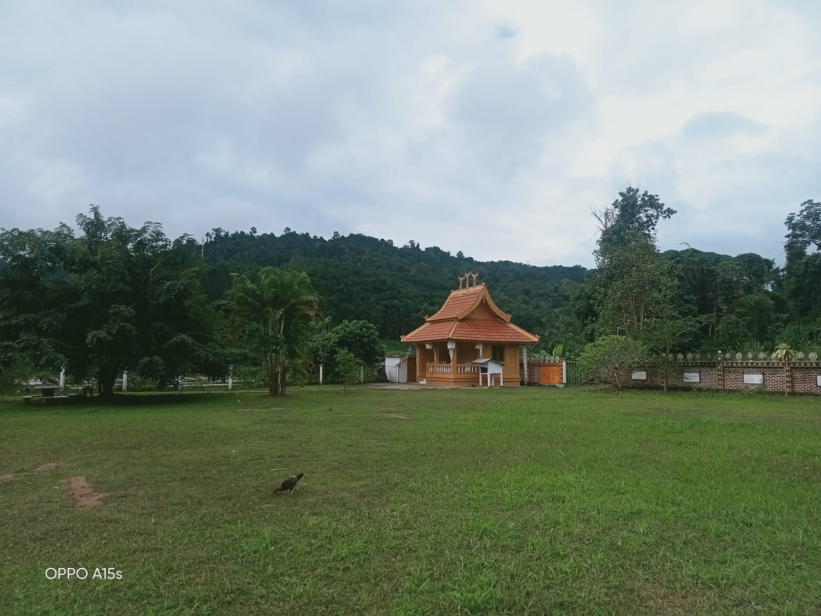 4 Days Trekking To Phou Den Din, National Park